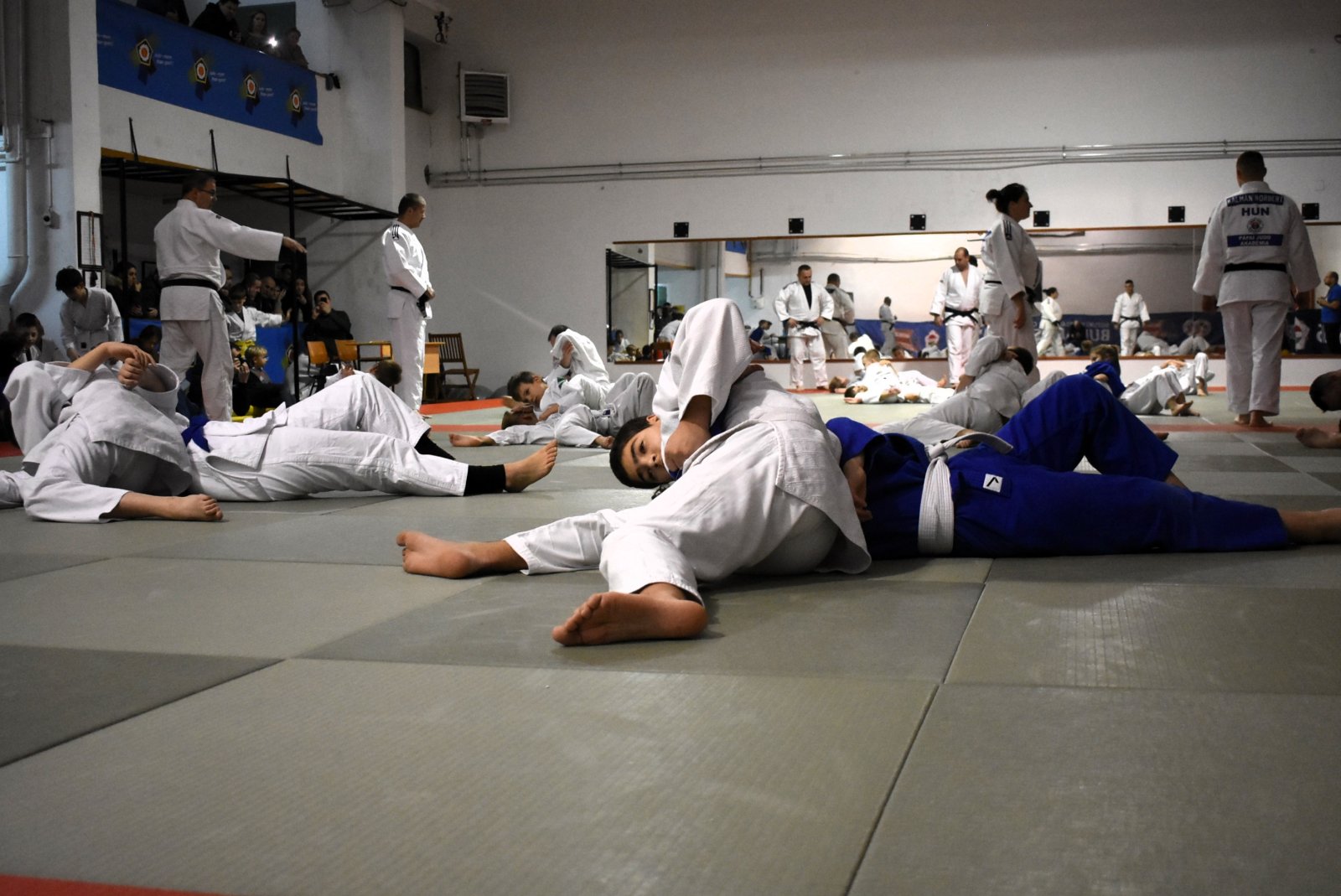 Sikeres évet zárt a Pápai Judo Akadémia