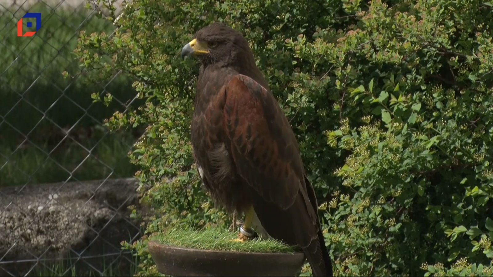 Híradó 2026.04.28.