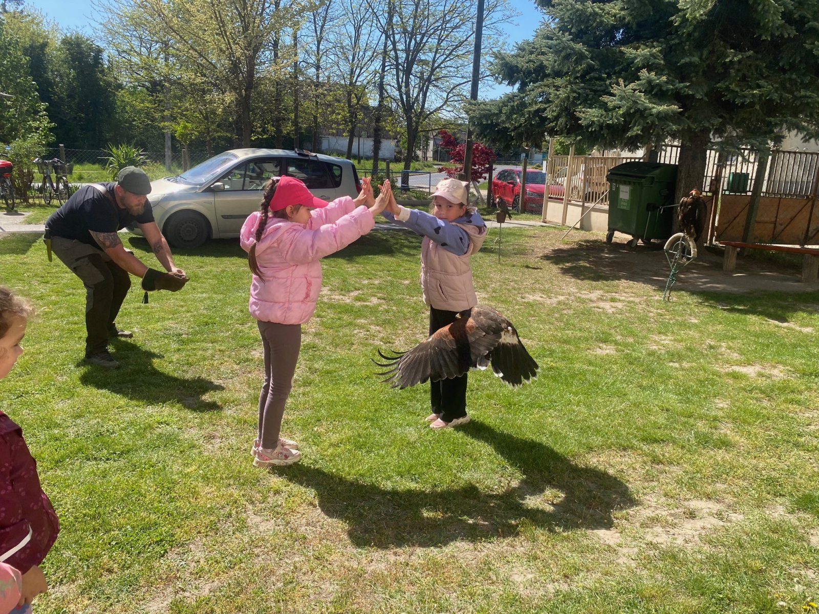 A természet varázsa testközelből  ragadozó madarak az óvodában