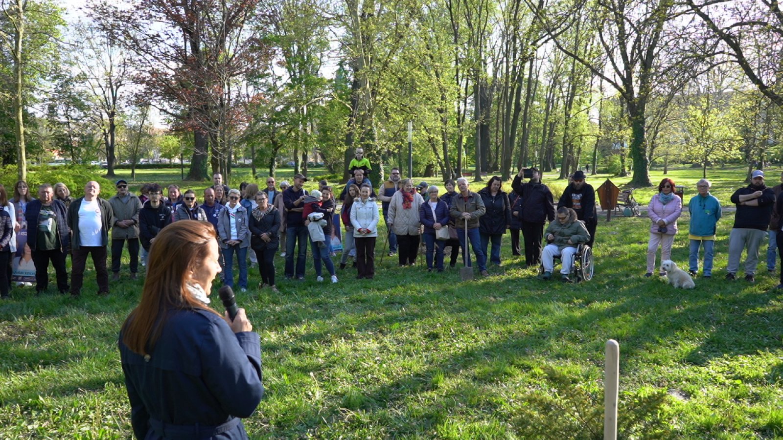 Tiszafát ültettek a TISZA szigetek
